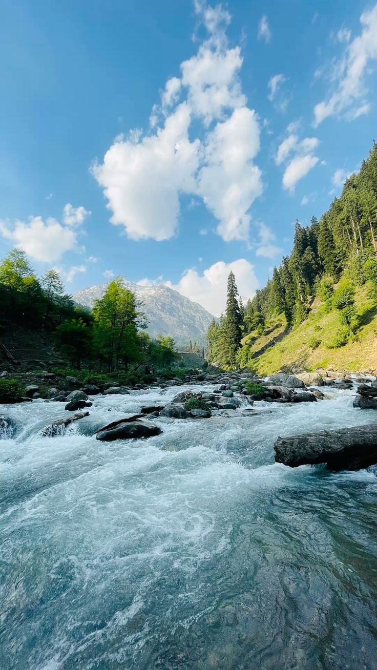 Pahalgam Kashmir