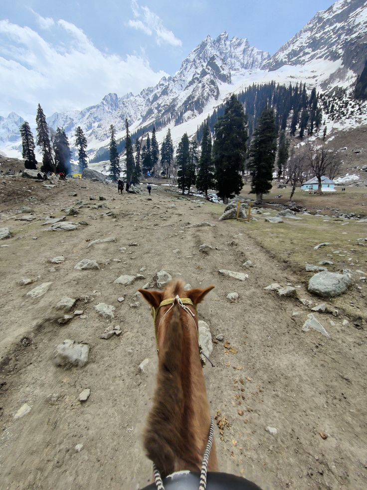 Pahalgam Mountains